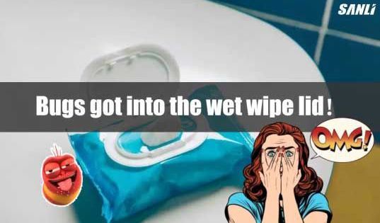 Bugs Got Into the Wet Wipe Lid